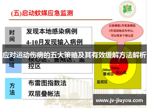 应对运动伤病的五大策略及其有效缓解方法解析