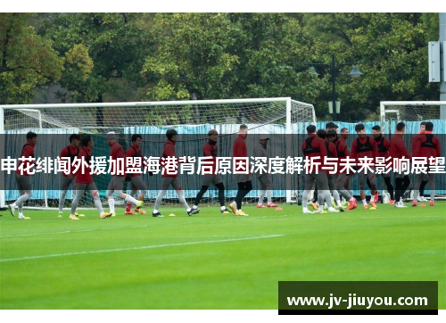 申花绯闻外援加盟海港背后原因深度解析与未来影响展望