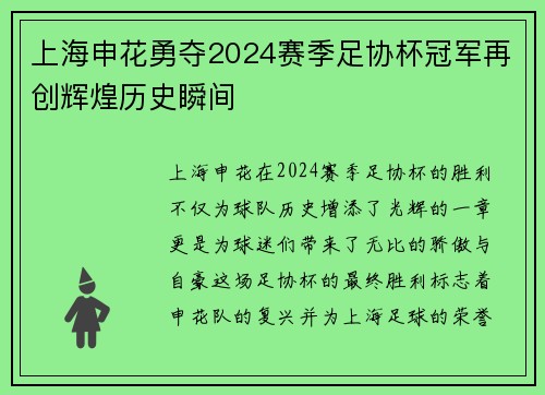 上海申花勇夺2024赛季足协杯冠军再创辉煌历史瞬间 上海申花勇夺2024赛季足协杯冠军再创辉煌历史瞬间